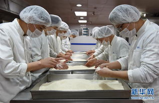 揭秘航空美食出炉全过程 从云端厨房到万米高空的味蕾之旅